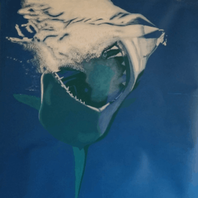 shark bite